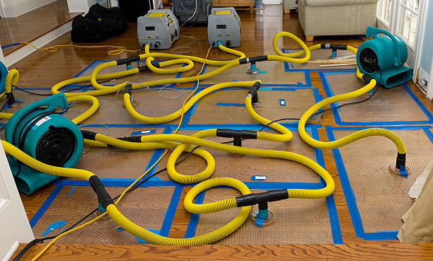 Professional Basement Flood Cleanup technician working in Melrose, NY